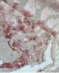 Soft powder pink bath rug paired with ecru and beige, adding a soothing and gentle feel to your bathroom space