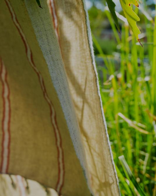 Green plants beside the orange and white Anakao 215 gram Aegean Cotton and Linen Turkish towel showcasing the soft texture and organic bath towel quality