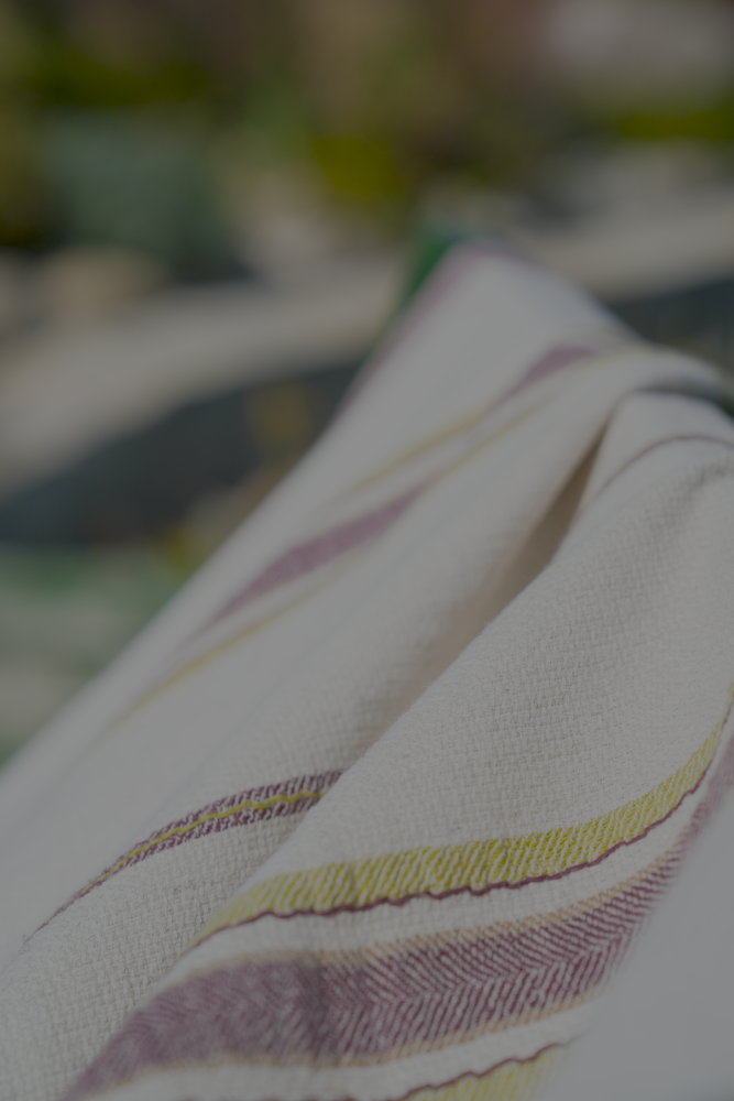 Close-up shot of luxury and organic Apple Green & Purple Elba Turkish Towel hanging on a cloth hanger