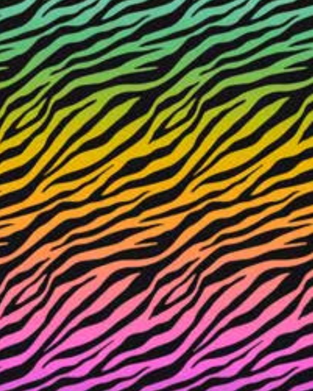 Patterned Beach Towels made with 100% cotton along with a rainbow colored zebra pattern in the middle - Zebra