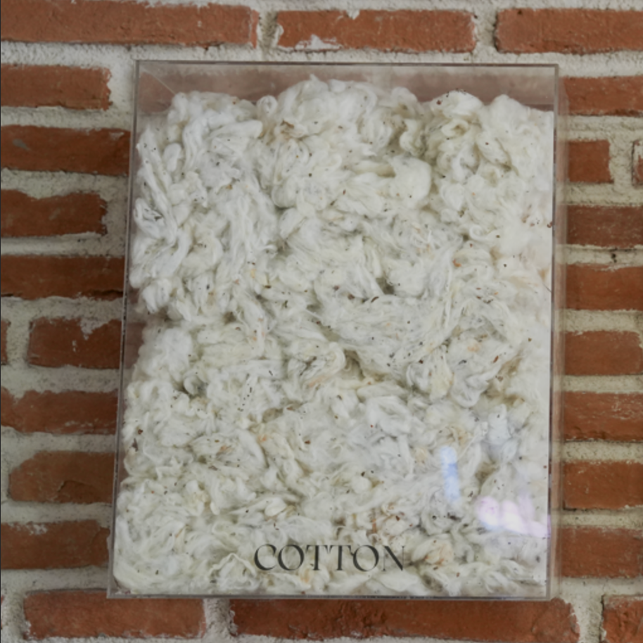 Cotton inside a plastic container