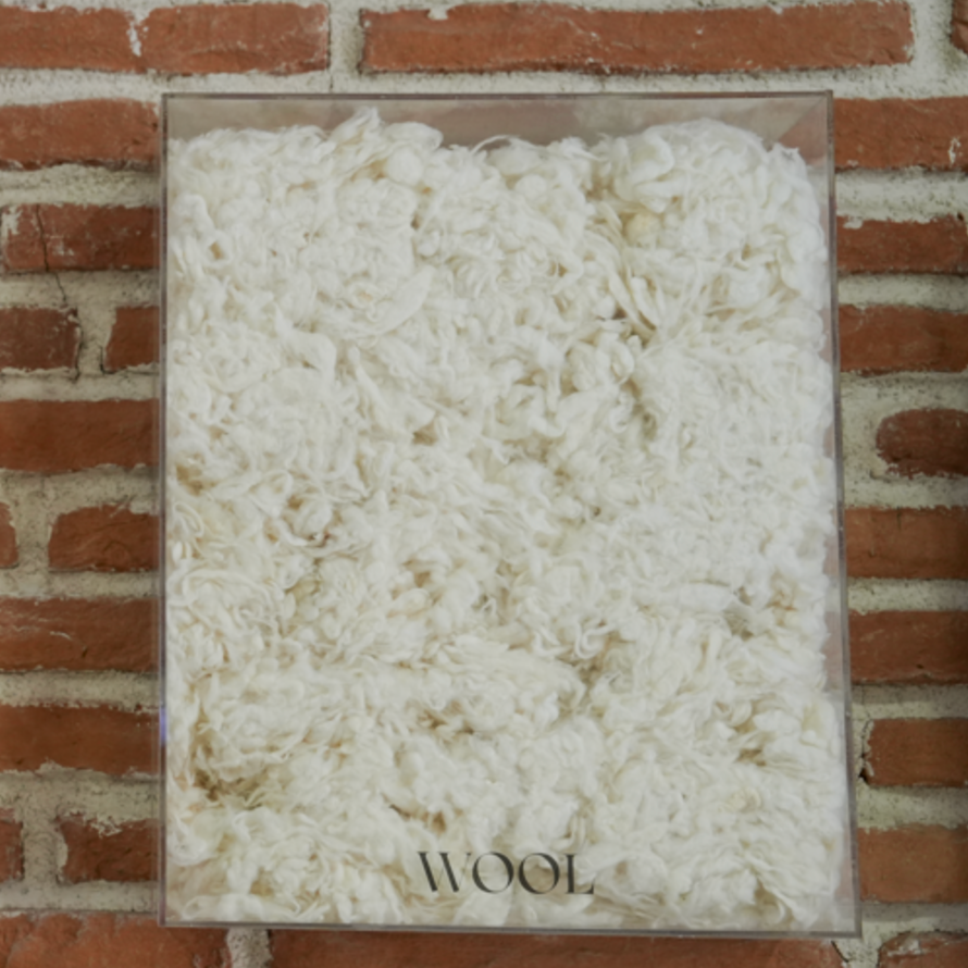 Wool inside a plastic container