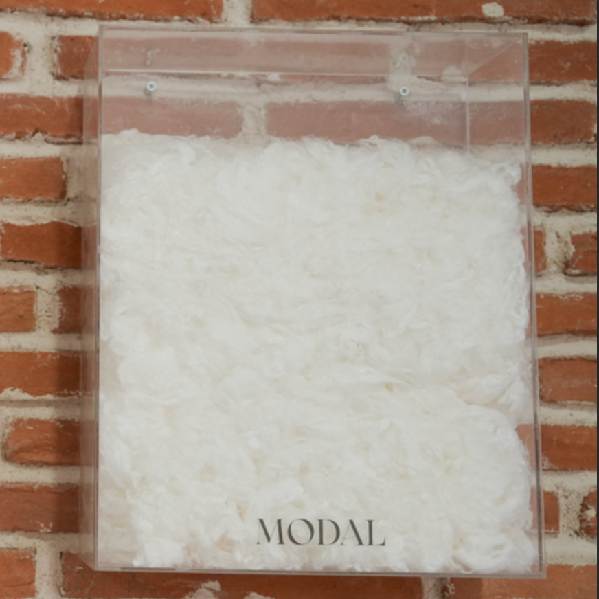 Modal inside a plastic container