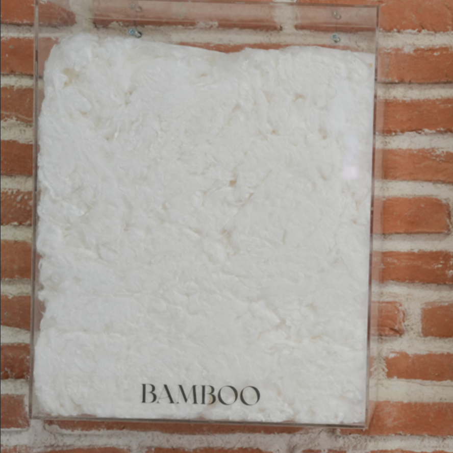 Bamboo inside a plastic container