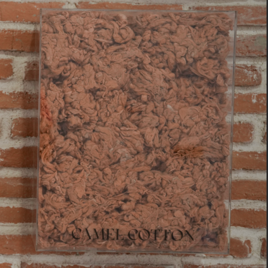 Camel cotton inside a plastic container