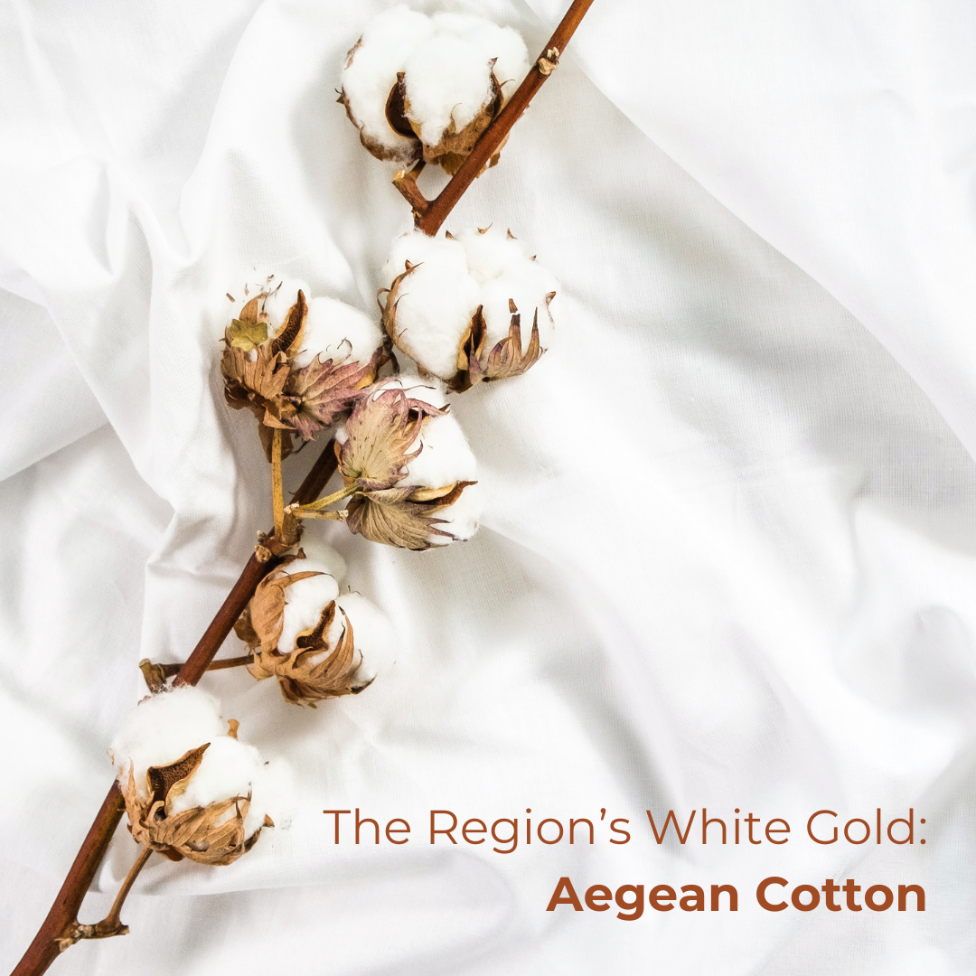 A branch of aegean cotton laying on a piece of white linen