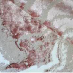 Soft powder pink bath rug paired with ecru and beige, adding a soothing and gentle feel to your bathroom space