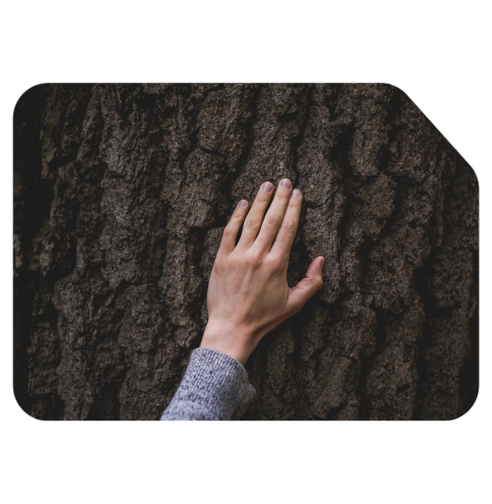 Minoa - USA Canada - Sustainable Luxury - Environment Friendly