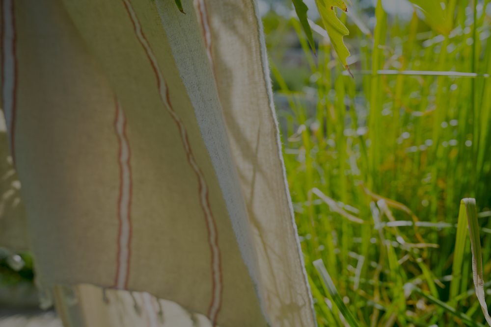 Green plants beside the orange and white Anakao 215 gram Aegean Cotton and Linen Turkish towel showcasing the soft texture and organic bath towel quality