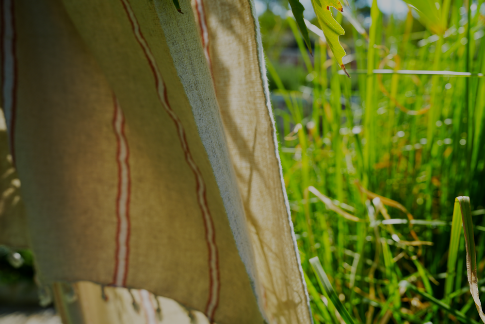 Green plants beside the orange and white Anakao 215 gram Aegean Cotton and Linen Turkish towel showcasing the soft texture and organic bath towel quality
