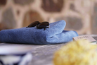 Blue towel with sunglasses on a surface, blurred stone wall in the background