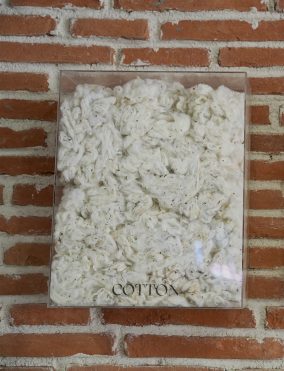 Cotton inside a plastic container