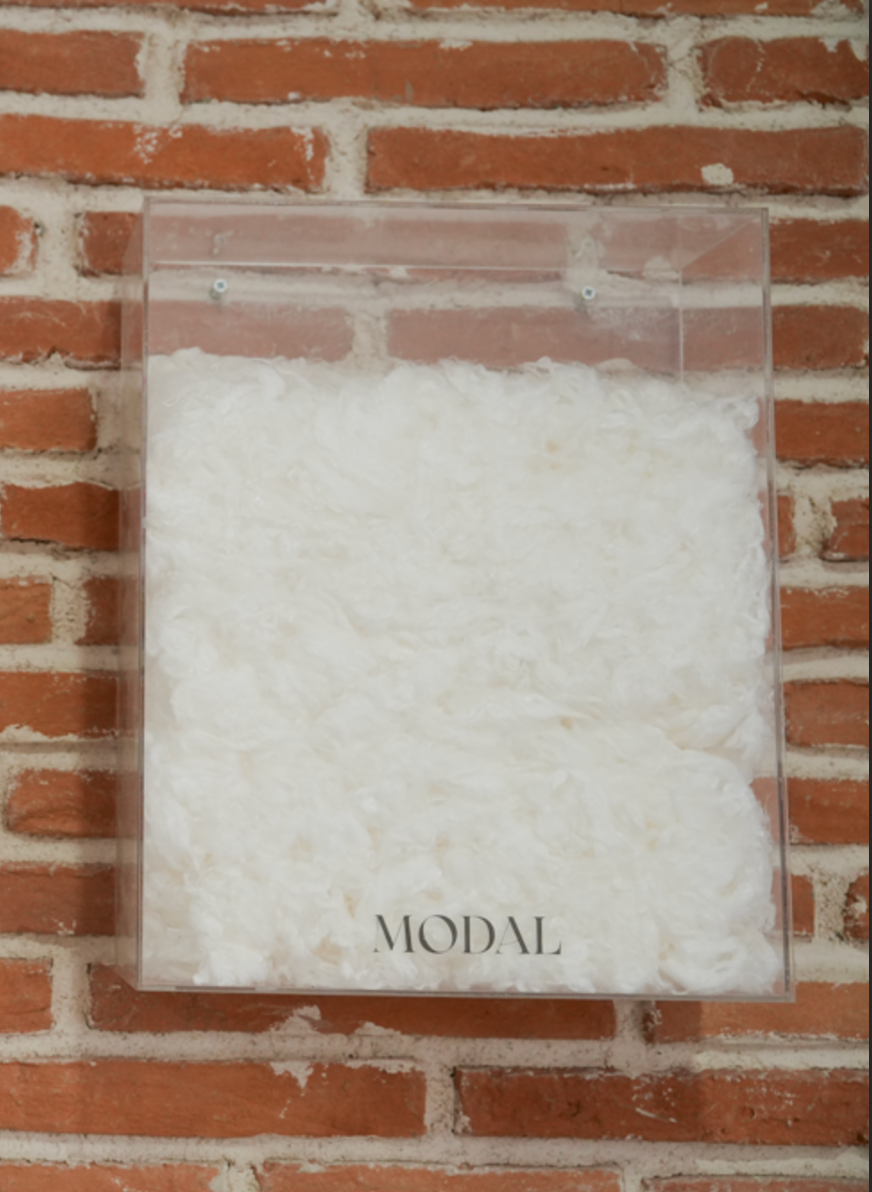 Modal inside a plastic container