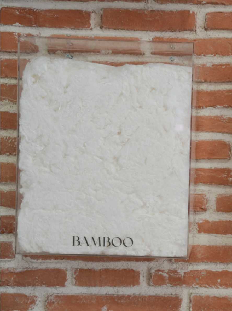 Bamboo inside a plastic container