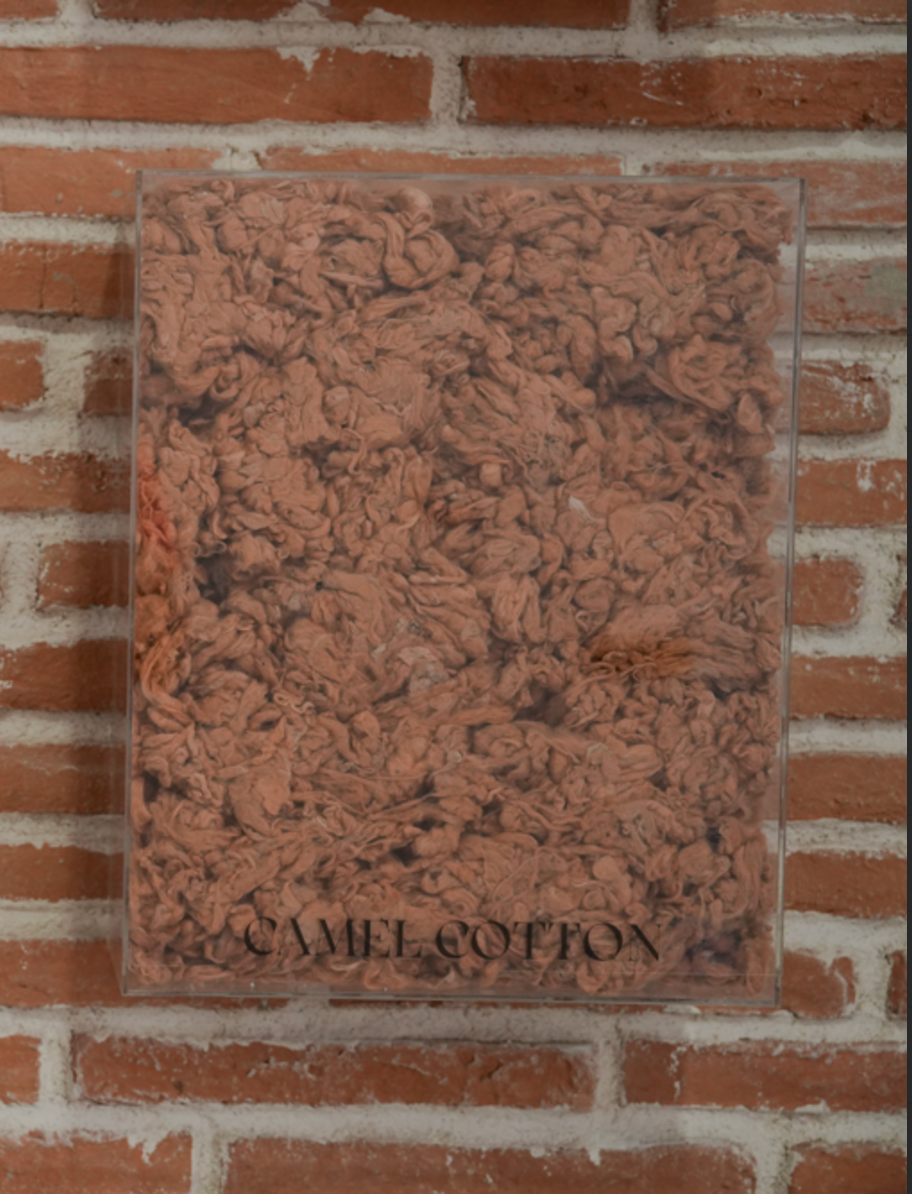 Camel cotton inside a plastic container